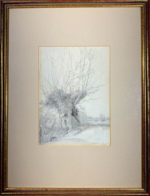 Lot 1432 - Stanley Roy BADMIN (1906-1989) Ash Bole...
