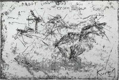 Lot 43 - Kurt JACKSON (1961) Daddy Long Legs Etching...