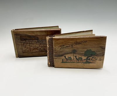 Lot 1017 - Two albums entitled 'Flowers and Views of the...