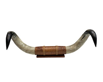 Lot 149 - A pair of wall-mounted bull's horns, bound...