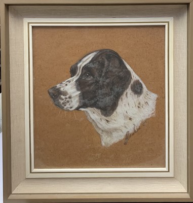 Lot 1397 - Portait of a sporting dog. Body colour on...