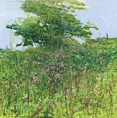 Lot 475 - Paul LEWIN (1967) Summer Hawthorn, Higher Trye...