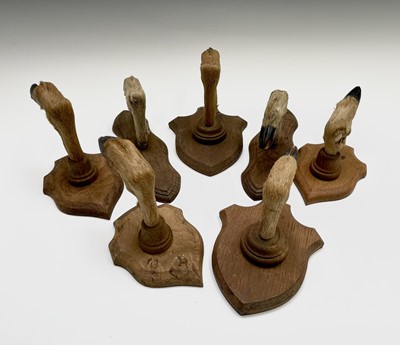 Lot 182 - Taxidermy - A set of seven deer foot coat...