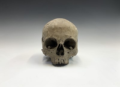 Lot 44 - Human anatomy, adult skull, lower mandible...