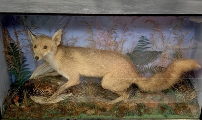 Lot 156 - A taxidermy stuffed and mounted fox with...