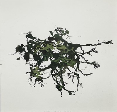 Lot 344 - Michael PORTER (1948) Seaweed Gouache Signed,...