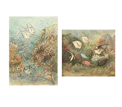 Lot 163 - Lilian BLAND (1878-1971) (Aviator) Tropical...