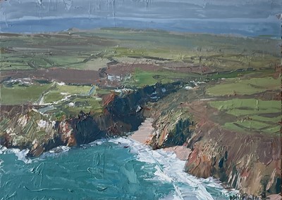 Lot 8 - Neil PINKETT (1958) The Minack Theatre and...