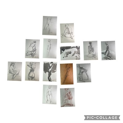 Lot 1022 - Alec WILES (1924) Twelve Nude drawings and two...