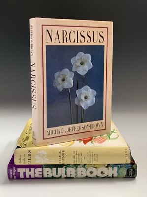 Lot 46 - MICHAEL JEFFERSON-BROWN. 'Narcissus.' 1991. vg...