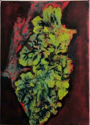 Lot 7 - Imogen ALLEN Lichen Study Mixed media Signed...