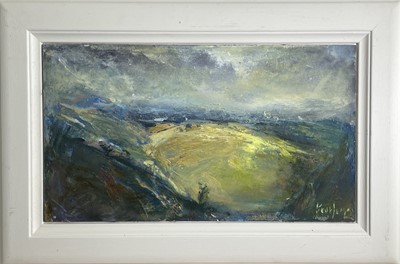 Lot 5 - Steve SLIMM (1953) These Rounded Hills Oil on...