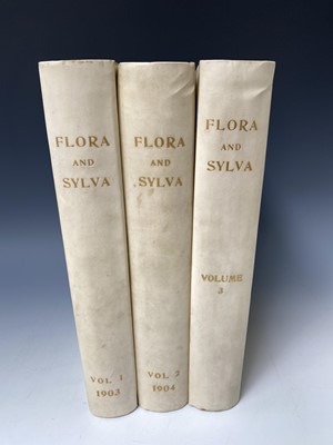 Lot 538 - BOTANY. 'Flora and Sylva: A Monthly Review for...