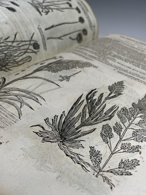 Lot 395 - JOHN PARKINSON. 'Theatrum Botanicum: The...