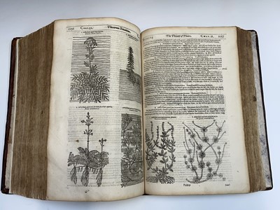 Lot 395 - JOHN PARKINSON. 'Theatrum Botanicum: The...