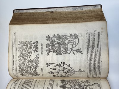 Lot 395 - JOHN PARKINSON. 'Theatrum Botanicum: The...