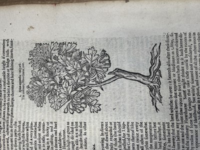 Lot 395 - JOHN PARKINSON. 'Theatrum Botanicum: The...