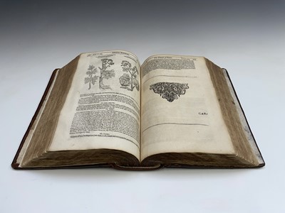 Lot 395 - JOHN PARKINSON. 'Theatrum Botanicum: The...