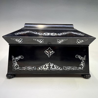 Lot 20 - A Regency coromandel tea caddy with mother of...