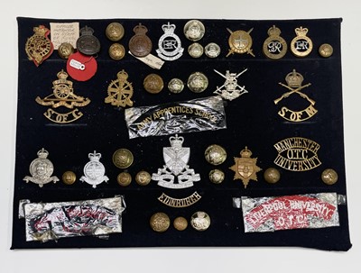 Lot 193 - Army School Regiments and University Units. A...