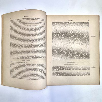 Lot 100 - BOTANICAL and AMERICAN INTEREST. 'Report on...