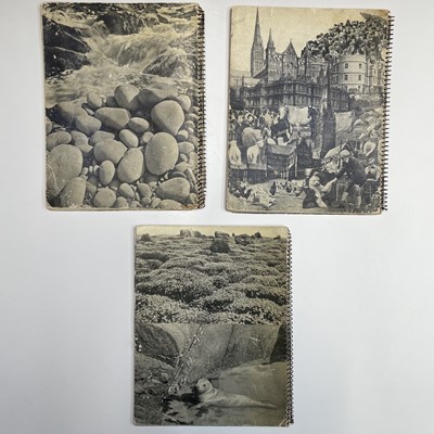 Lot 39 - SHELL GUIDES. 'Cornwall,' 1935, 'Devon,' 1936...
