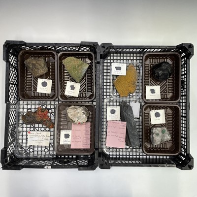 Lot 344 - An interesting collection of eight identified...