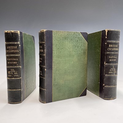 Lot 49 - NATURAL HISTORY. 'The British Cyclopaedia of...