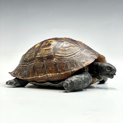 Lot 53 - A box and cover, in the form of a tortoise,...
