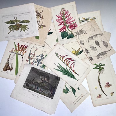 Lot 251 - BOOK PLATES and ENGRAVINGS. Fourteen...