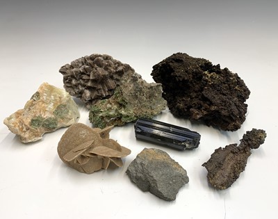 Lot 92 - An interesting collection of eight identified...