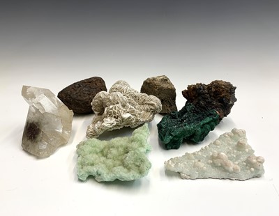 Lot 93 - An interesting collection of eight identified...