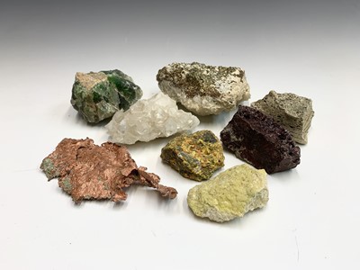 Lot 94 - An interesting collection of eight identified...