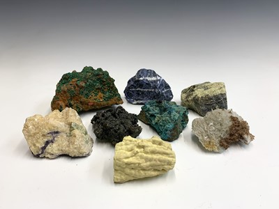 Lot 96 - An interesting collection of eight identified...