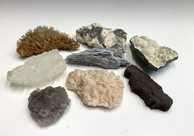 Lot 97 - An interesting collection of eight identified...