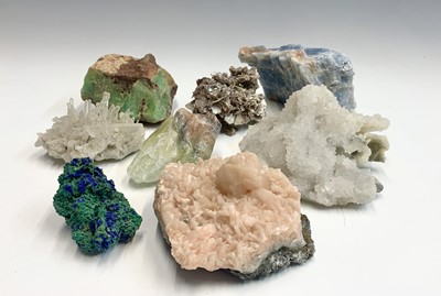 Lot 98 - An interesting collection of eight identified...