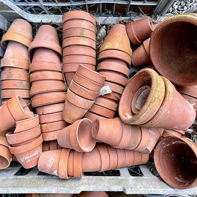Lot 627 - Three crates of terracotta plant pots of...