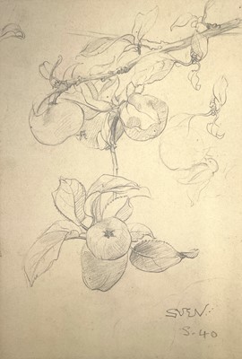 Lot 420 - Sven BERLIN (1911-1999)   Apple's Pencil...