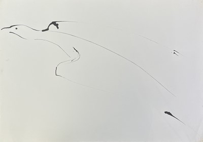 Lot 345 - Sven BERLIN (1911-1999) Bird Ink drawing 42x60cm