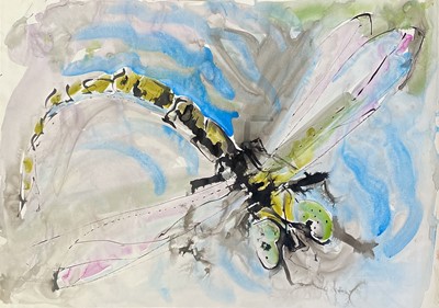 Lot 591 - Sven BERLIN (1911-1999) Dragonfly Watercolour...