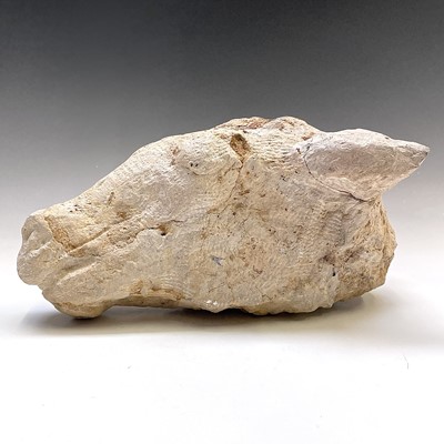 Lot 501 - Sven BERLIN (1911-1999) Horses Head Stone...