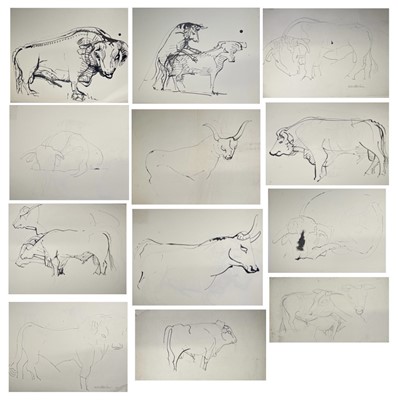 Lot 204 - Sven BERLIN (1911-1999) Bull Studies Eleven...