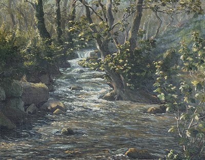 Lot 206 - Denys LAW (1907 -1981) Lamorna Stream Oil on...