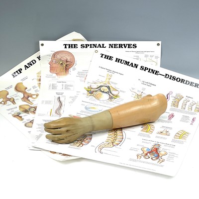 Lot 214 - A prosthetic lower arm together with three...