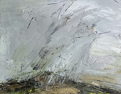 Lot 670 - Daniel BACKHOUSE (XX-XXI) Sudden Hail, Y Garn...