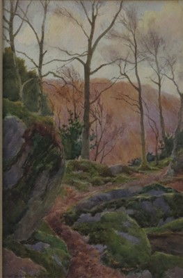 Lot 662 - W. H. HOWARTH