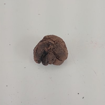 Lot 139 - A ball clay lump, used for securing a candle to a miner's helmet.