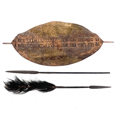 Lot 35 - A Zulu hide war shield and two spears.
