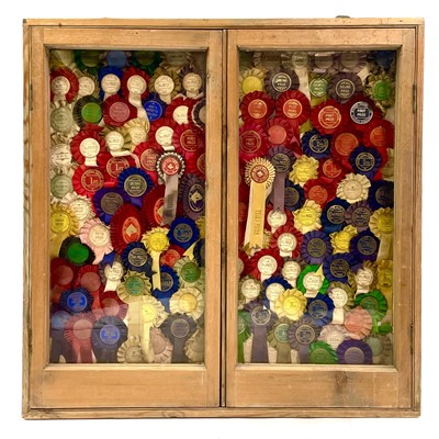 Lot 1879 - A vintage pine glazed display case.