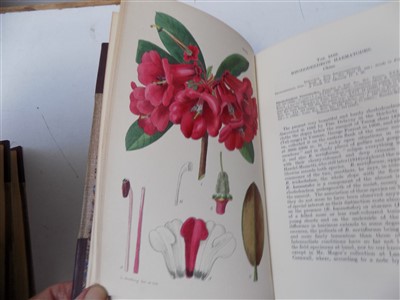 Lot 456 - CURTIS'S BOTANICAL MAGAZINE